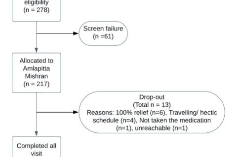 Participant enrollment flowchart as per CONSORT guidelines
