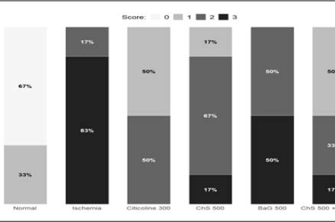 Percentage distribution of neurological scores according to the level of functional impairment. Scores were assigned based on the degree of functional impairment observed in the behavioral test 24 hours after ischemia induction (range: 0 = No impairment, 1 = Mild, 2 = Moderate, 3 = Severe).