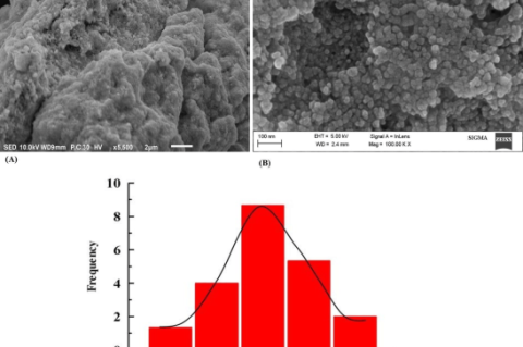 A) SEM, (B) FESEM micrograph, and (C) particle size distribution histogram of biosynthesized silver nanoparticles