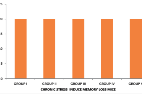 Chronic stress induced memory loss mice Figure