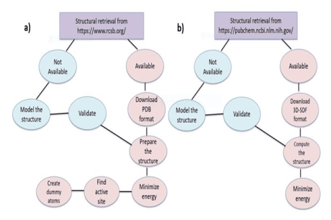 Preparation of structures for molecular docking; a) Preparation of target protein, b) Preparation of ligand