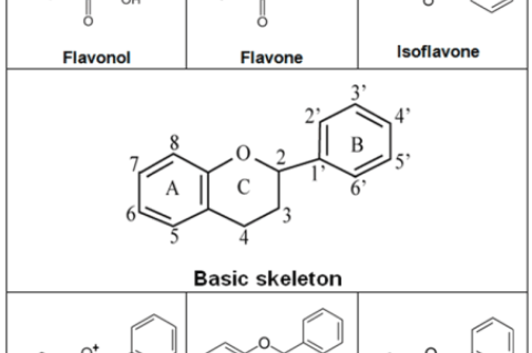 Basic skeleton structure of flavonoids and their classes