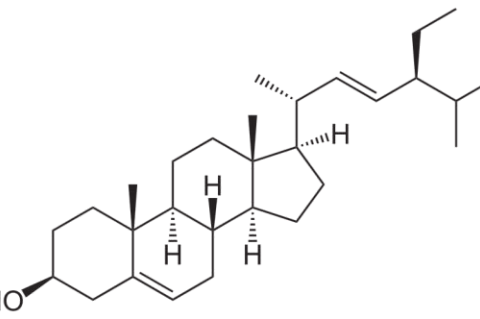 stigmasterol