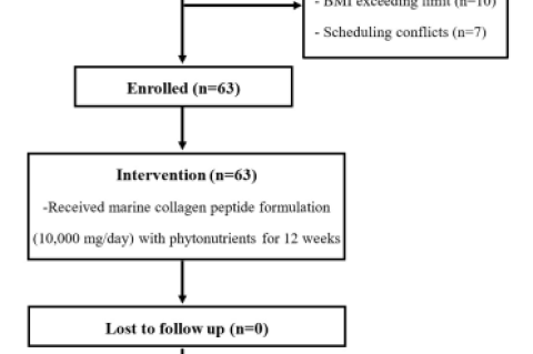 Study flow diagram