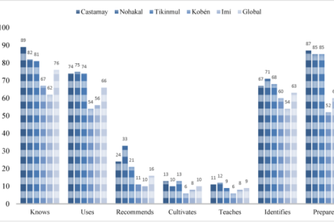 Practices of respondents regarding medicinal plants used to treat parasitosis in five suburban communities of Campeche, Mexico. Bars represent the percentage of participants in each community who reported knowing, identifying, preparing, using, recommending, teaching, and cultivating antiparasitic plants. The last bar in each group represents the overall mean across all communities.
