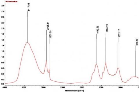 IR spectra of Paederia foetida stem extracts.