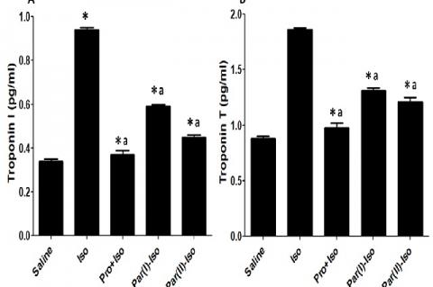 Effect of Partharishtam on Creatin Phosphate Kinase (CPK) in Blood serum (A) and Cardiac tissue (B) of Isoproterenol induced MI rats