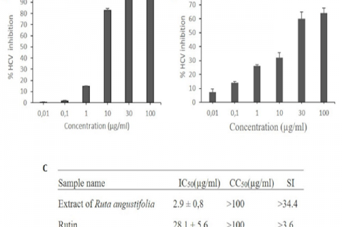 Dose-dependent anti-HCV activities of R.angustifolia extract (A) and Rutin (B). IC50 value, CC50 and selectivity index (SI) (C). Huh7it cells seeded in 48 well plates were infected with HCV and treated with R. angustifolia extract or rutin. Culture supernatant was collected for virus titration. The percentage HCV inhibition was calculated and compared with the control. Data represent means ± SEM of data from three independent experiments.