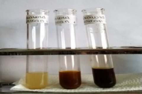 Meniran (Phyllanthus niruri Linn) phytochemical screening results A. Flavonoid, B. Tannin, C. Saponin, D. Trepenoid, E. Alkaloid.