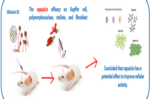 Role of Capsaicin in the Repair of Cellular Activity in Mice Liver
