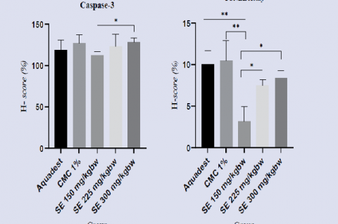 Caspase-3 and TUNEL assay expression in each group. Post hoc analysis: *p<0.05, **p<0.01.