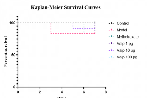 Represents Kaplan-Meier survival curve.