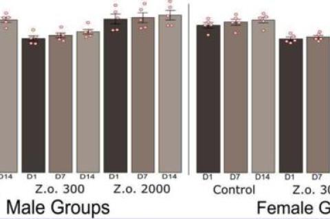 Body weight of rat in the treated and control groups during the 14-day acute toxicity assessment