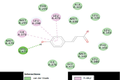 The interaction results of 4-Hydroxycinnamic Acid.