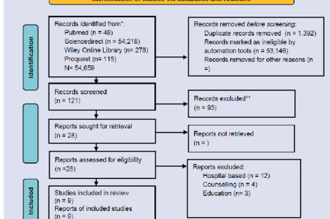 Community-Based Electronic Recording and Reporting in Indonesia: Systematic Review