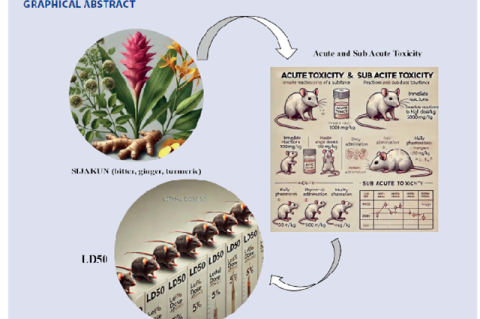 Graphical Abstract