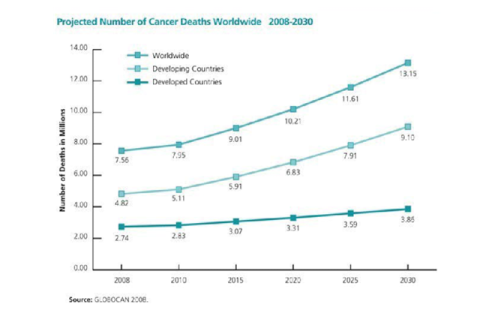 Global cancer death projections (2008 - 2030).10