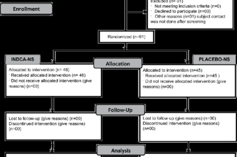 CONSORT flowchart