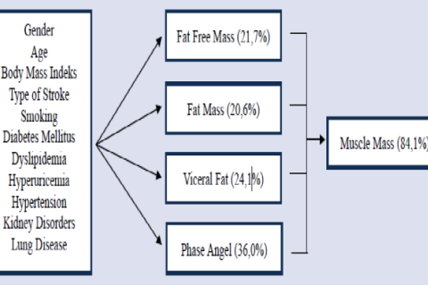 Structural Equation Model Analysis Results