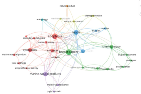 Keyword occurrence visualization map.