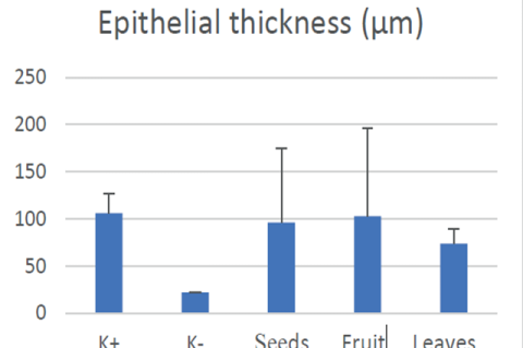 Diagram of epithelial thickness comparison among groups.