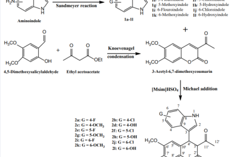 The synthetic pathway of the coumarin-indole hybrids and their constructing units