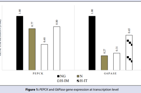 PEPCK and G6Pase gene expression at transcription level