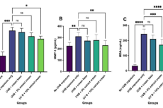 (A) CPD levels, (B) MMP-1 levels, and (C) MDA levels. *P ≤ 0.05, **P ≤ 0.01, ***P ≤ 0.001, ****P ≤ 0.0001 indicate significant differences; ns = not significant.