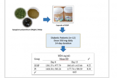 Syzygium polyanthum (Wight.) Walp Ethanol Extract Decreased Malondialdehyde Level in Type 2 Diabetic Patients