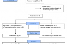 CONSORT flowchart of the study.