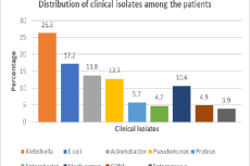 Among the co-morbidities assessed, diabetes was the most prevalent,