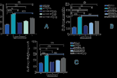 Anxiolytic-like effects of PAEO in mice. A: Mean ± ±S.E.M. percent open arms time in EPM. B: Mean ± S.E.M. percent open-arm entries in EPM. C: Mean ±S.E.M percent time in the light compartment in LDBT. Differences between groups were analyzed using ANOVA with Tukey's post hoc test for multiple comparisons. Statistical significance compared to the control group indicated by *p<0.05, **p<0.01.