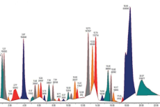 Metabolite profiling of the Ethanolic Extract from the bark of Syzygium cumini var. album using the UPLC-QToF-MS/MS.