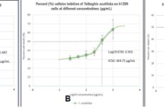 Dose-response curves of T. riparia, T. acutiloba, and C. edulis extracts on H1299-hACE2-E3 cells. Data are presented as the mean of the triplicate values and the ± standard deviation is represented by the error bars.